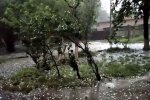 Град. Фото: скріншот YouTube-відео
